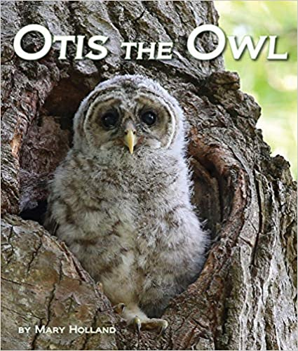 Otis the Owl 1