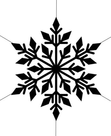 The Mathematics of Snowflakes 1