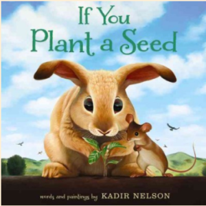 If You Plant a Seed cover image