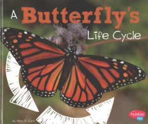 A butterfly's life cycle cover