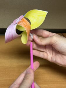 IMG 7650